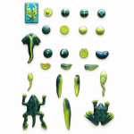 Frog Development Model